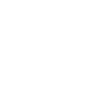 Lacrosse Coach Stick