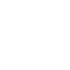 Lacrosse Coach Stick