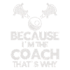 Lacrosse Coach Stick
