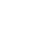 Lacrosse Coach Stick