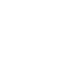 Lacrosse Coach Stick