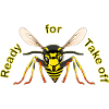 Wasp Ready for Take off
