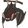 Funny hanging bat
