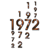 1972 year