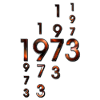 1973 année