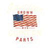 Americans grow with Guinean patriotic