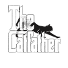 Kattefar Catfather Crazy Cat Far Kitty Daddy