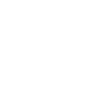 paraglider