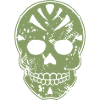 Army Skull