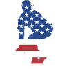 Sport Us Flag Baseball