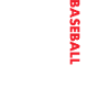 Sport Us Flag Baseball