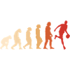Sport Evolution Basketball