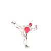 taekwondo