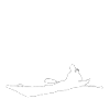 Paddle