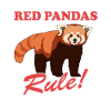Röd panda röd panda röda pandor gåva