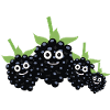 brombeeren,familie,beeren,brombeere