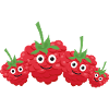 Raspberries,Family,Berries,Raspberry