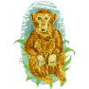 Children's Book Chimpanzee