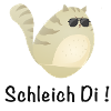 Schleich Di Coole Katze