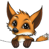 Little cute fox