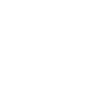 Mudi