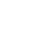 Labradoodle