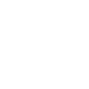 Security Guard
