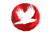 Gothic Skull-Red Moon-Black Crow