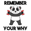 Fitnessmotiv Gym Hantlar Motiverande Panda