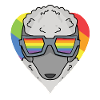 Arc-en-ciel - Chien avec lunettes - Caniche