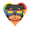Arc-en-ciel - Chien à lunettes - Rottweiler