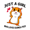 Guinea pig saying girl