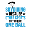 Skydiving Parachutists Parachute