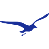 Gull