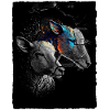 Sheep Portrait