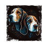 Beagle Bild Portrait