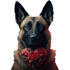 Saint-Valentin de Malinoi