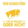 Akkordeon Musiker