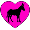 Donkey