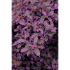 Blumen