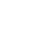 Pferd