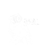 Birds Are Not Real