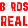 Birds Are Not Real