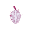 Onion Vegetables