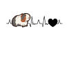 Guinea pig heartbeat