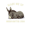 Wake Me Up When Winter Ends Sleepy Donkey