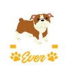 Meilleur papa bouledogue