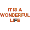 Wonderful Lie