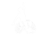 Figure skating, figure skater, wheelchair