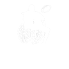 American football wheelchair